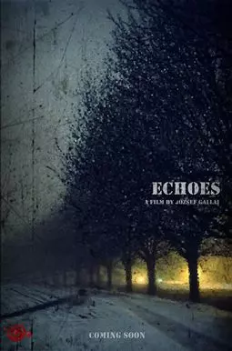 Echoes - постер