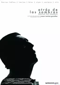 Atrás de las sombras - постер