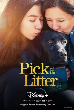 Pick of the Litter - постер