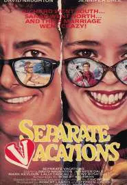 Separate Vacations - постер