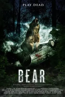 Медведь - постер