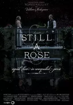 Still a Rose - постер