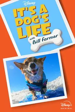 It's A Dog's Life - постер