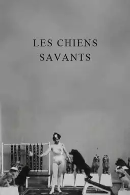 Les chiens savants - постер