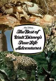 The Best of Walt Disney's True-Life Adventures - постер