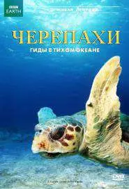 Черепахи: Гиды в Тихом океане - постер