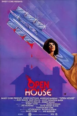 Открытый дом - постер