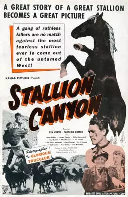 Stallion Canyon - постер