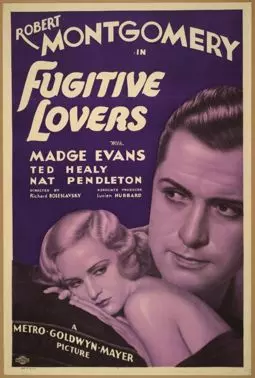 Fugitive Lovers - постер