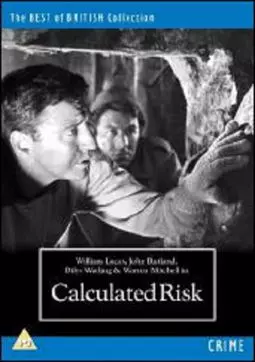 Calculated Risk - постер