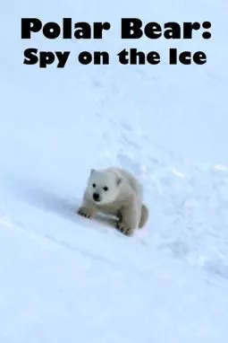 Белый медведь - Шпион во льдах - постер