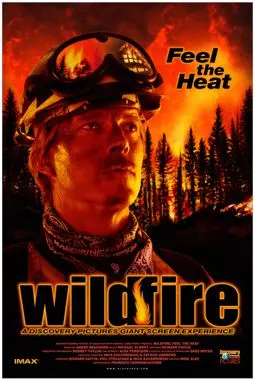 Wildfire: Feel the Heat - постер