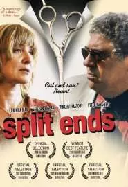 Split Ends - постер