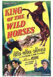 King of the Wild Horses - постер