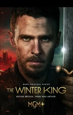 Зимний король - постер