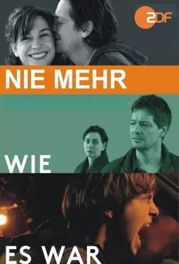 Nie mehr wie es war - постер