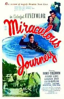 Miraculous Journey - постер