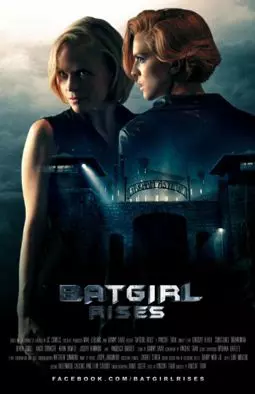 Batgirl Rises - постер