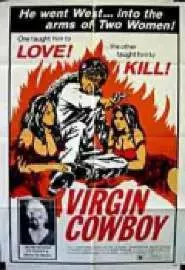 Virgin Cowboy - постер