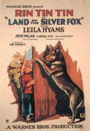 Land of the Silver Fox - постер