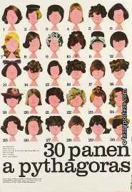 30 девушек и Пифагор - постер