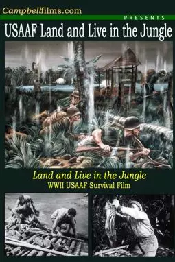 Land and Live in the Jungle - постер
