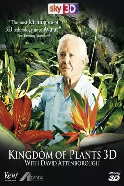 Царство растений - постер