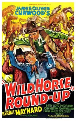 Wild Horse Round-Up - постер