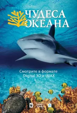 Чудеса океана 3D - постер