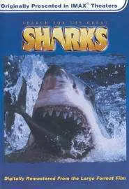 Search for the Great Sharks - постер