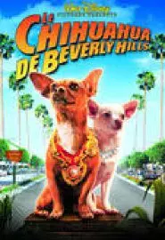 Le chihuahua de Beverly Hills - постер