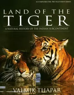 Земля тигра - постер