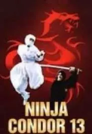Ниндзя-стервятник - постер