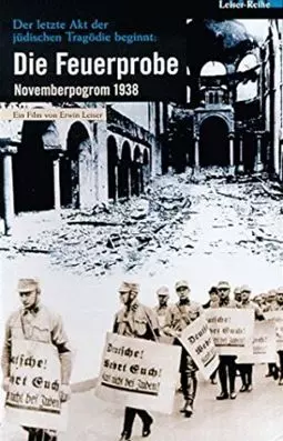 Die Feuerprobe - Novemberpogrom 1938 - постер