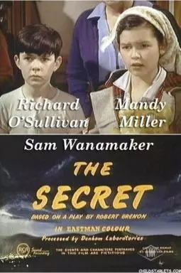 The Secret - постер