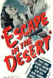 Escape in the Desert - постер