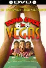 Dumb Luck in Vegas - постер