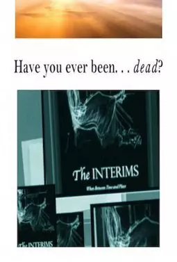 The Interims: When Between Time & Place - постер