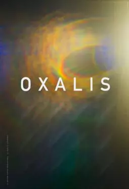 Oxalis - постер