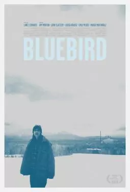 Синяя птица - постер