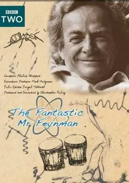 Очаровательный мистер Фейнман - постер