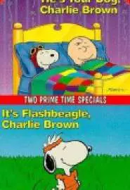 It's Flashbeagle, Charlie Brown - постер