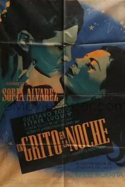 Un grito en la noche - постер