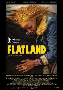 Флатландия - постер