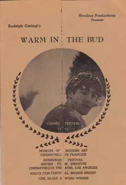 Warm in the Bud - постер