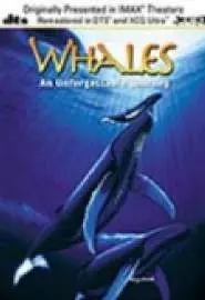 Whales: An Unforgettable Journey - постер