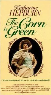 Кукуруза зеленая - постер