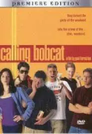 Calling Bobcat - постер