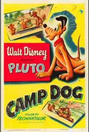 Camp Dog - постер
