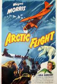 Arctic Flight - постер